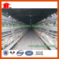 Jinfeng Poultry Project